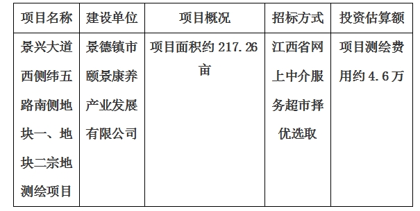 景興大道西側(cè)緯五路南側(cè)地塊一、地塊二宗地