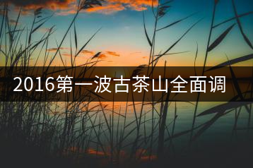 2016第一波古茶山全面調研第四站——臨滄·大雪山、小戶賽