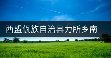 西盟佤族自治縣力所鄉(xiāng)南亢茶廠