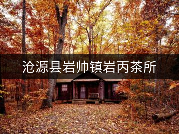 滄源縣巖帥鎮(zhèn)巖丙茶所
