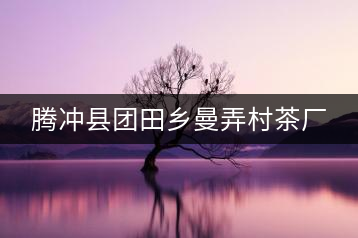 騰沖縣團田鄉(xiāng)曼弄村茶廠