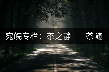 宛皖專(zhuān)欄：茶之靜——茶隨我而靜