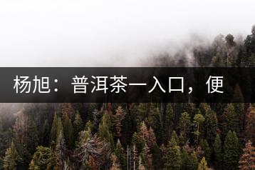 楊旭：普洱茶一入口，便知產(chǎn)地和年份