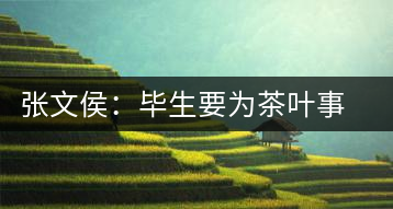 張文侯:畢生要為茶葉事業(yè)奮斗
