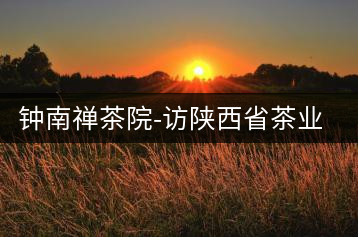 鐘南禪茶院-訪陜西省茶業(yè)協(xié)會副秘書長楊元