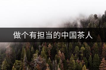 做個有擔當?shù)闹袊枞? decoding=