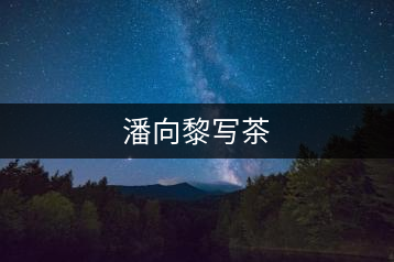 潘向黎寫茶