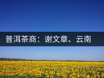 普洱茶商：謝文章、云南谷申商貿(mào)有限公司總經(jīng)理