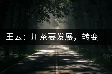 王云:川茶要發(fā)展,轉(zhuǎn)變思想是關(guān)鍵