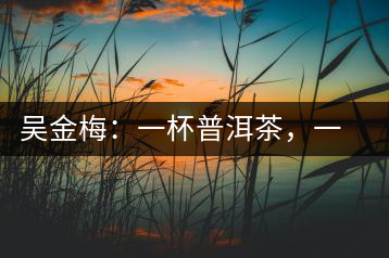 吳金梅：一杯普洱茶，一份云南情