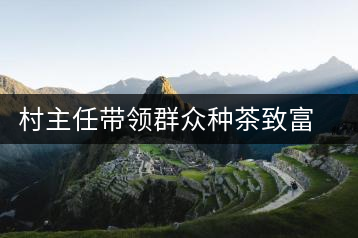 村主任帶領(lǐng)群眾種茶致富 村民豎起大拇指