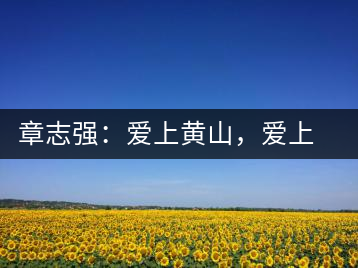 章志強(qiáng)：愛上黃山，愛上黃山的茶