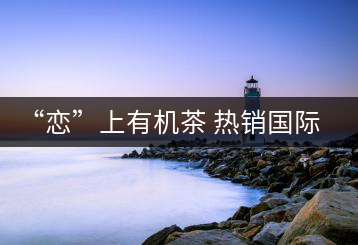 “戀”上有機(jī)茶 熱銷(xiāo)國(guó)際市場(chǎng)