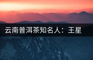 云南普洱茶知名人:王星銀