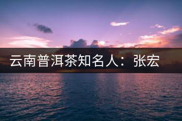 云南普洱茶知名人：張宏達