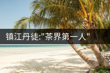 鎮(zhèn)江丹徒:”茶界第一人”成為計生領富幫富帶頭人