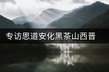 專訪思道安化黑茶山西晉中運(yùn)營中心總經(jīng)理董欽智