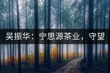 吳振華：寧思源茶業(yè)，守望家鄉(xiāng) 做好“金獎(jiǎng)茶王”