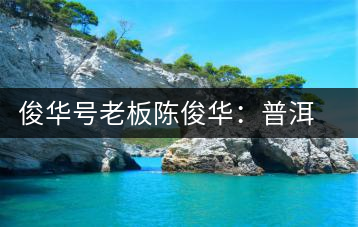 俊華號(hào)老板陳俊華：普洱茶人做茶有道