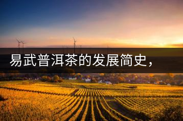 易武普洱茶的發(fā)展簡史，昔日的貢茶如今依然輝煌