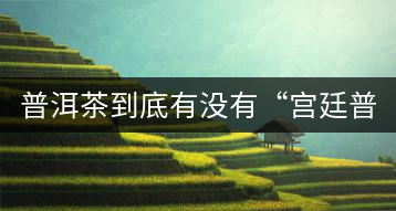 普洱茶到底有沒有“宮廷普洱”一說？它到底是什么？