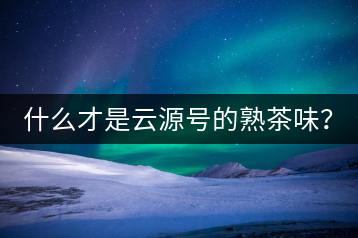 什么才是云源號(hào)的熟茶味？