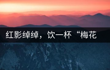 紅影綽綽，飲一杯“梅花”醉