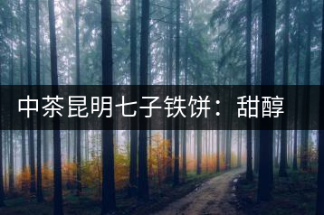 中茶昆明七子鐵餅：甜醇甘潤，陳韻綿長