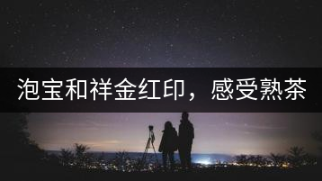 泡寶和祥金紅印，感受熟茶之美。