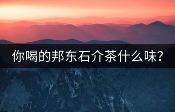 你喝的邦東石介茶什么味？
