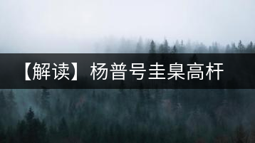 【解讀】楊普號圭臬高桿茶：形高、氣足、韻遠(yuǎn)的一款茶