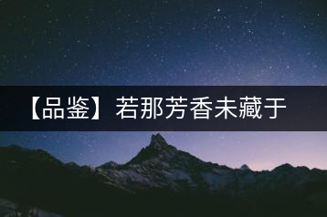 【品鑒】若那芳香未藏于樟野，怎會這般獨具韻味？
