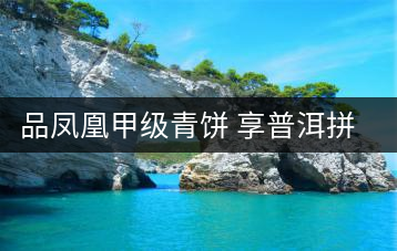 品鳳凰甲級青餅 享普洱拼配之美