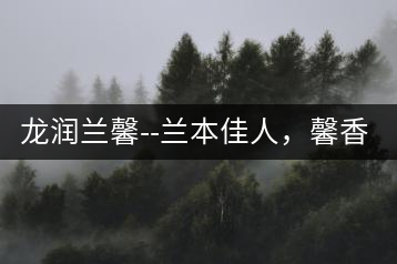 龍潤(rùn)蘭馨–蘭本佳人，馨香高雅