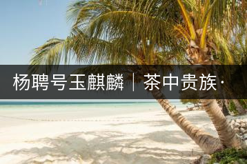 楊聘號(hào)玉麒麟｜茶中貴族·冰島古樹