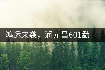 鴻運(yùn)來(lái)襲，潤(rùn)元昌601勐海紅韻熟茶即將上市