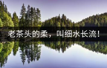 老茶頭的柔，叫細(xì)水長流！