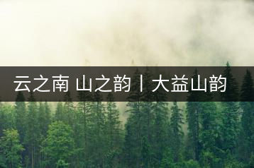 云之南 山之韻丨大益山韻，“韻”味傳奇之山韻歸來