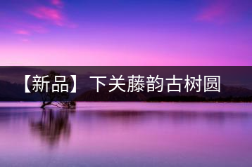 【新品】下關藤韻古樹圓茶——“千手觀音”臨世之風骨