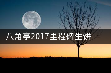 八角亭2017里程碑生餅，擁抱半個世紀的情懷
