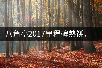 八角亭2017里程碑熟餅，自先發(fā)酵而后愛人