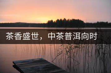 茶香盛世，中茶普洱向時代獻禮