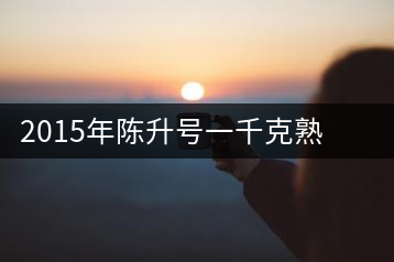 2015年陳升號(hào)一千克熟茶磚經(jīng)典大樹新品上市