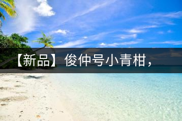 【新品】俊仲號(hào)小青柑，青果來(lái)傾城