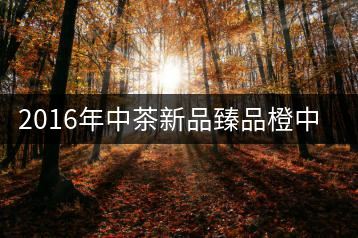 2016年中茶新品臻品橙中橙（熟茶）首發(fā)