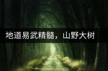 地道易武精髓，山野大樹珍品—普秀易武生態(tài)喬木圓茶即將上市