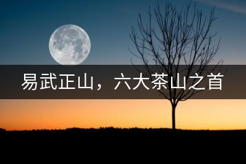 易武正山，六大茶山之首
