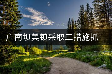 廣南壩美鎮(zhèn)采取三措施抓好冬季茶園管理