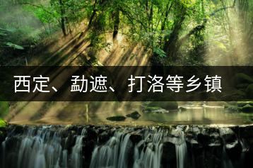 西定、勐遮、打洛等鄉(xiāng)鎮(zhèn)古茶樹資源