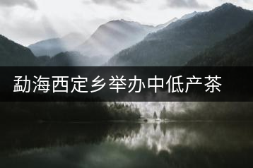 勐海西定鄉(xiāng)舉辦中低產茶園改造培訓